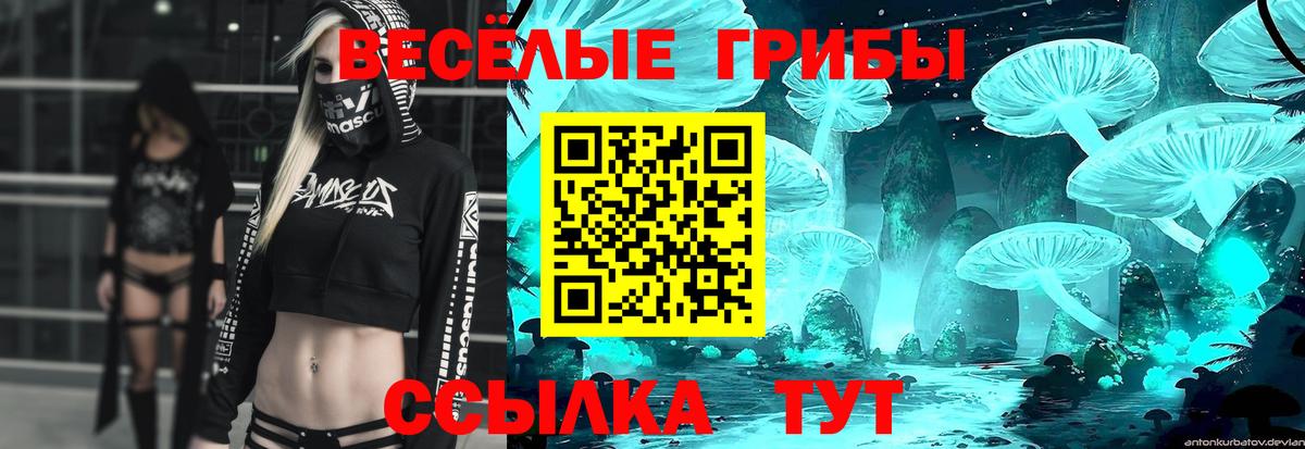Галлюциногенные грибы мицелий  Галлюциногенные грибы Psilocybine cubensis  Вход с VPN  Кимовск 